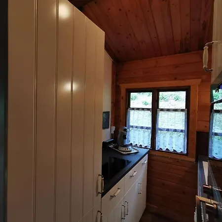 Holiday home Landjagdhaus Willingen *