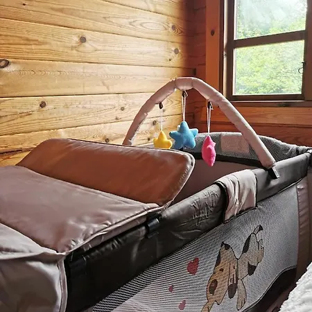Landjagdhaus Willingen Holiday home *